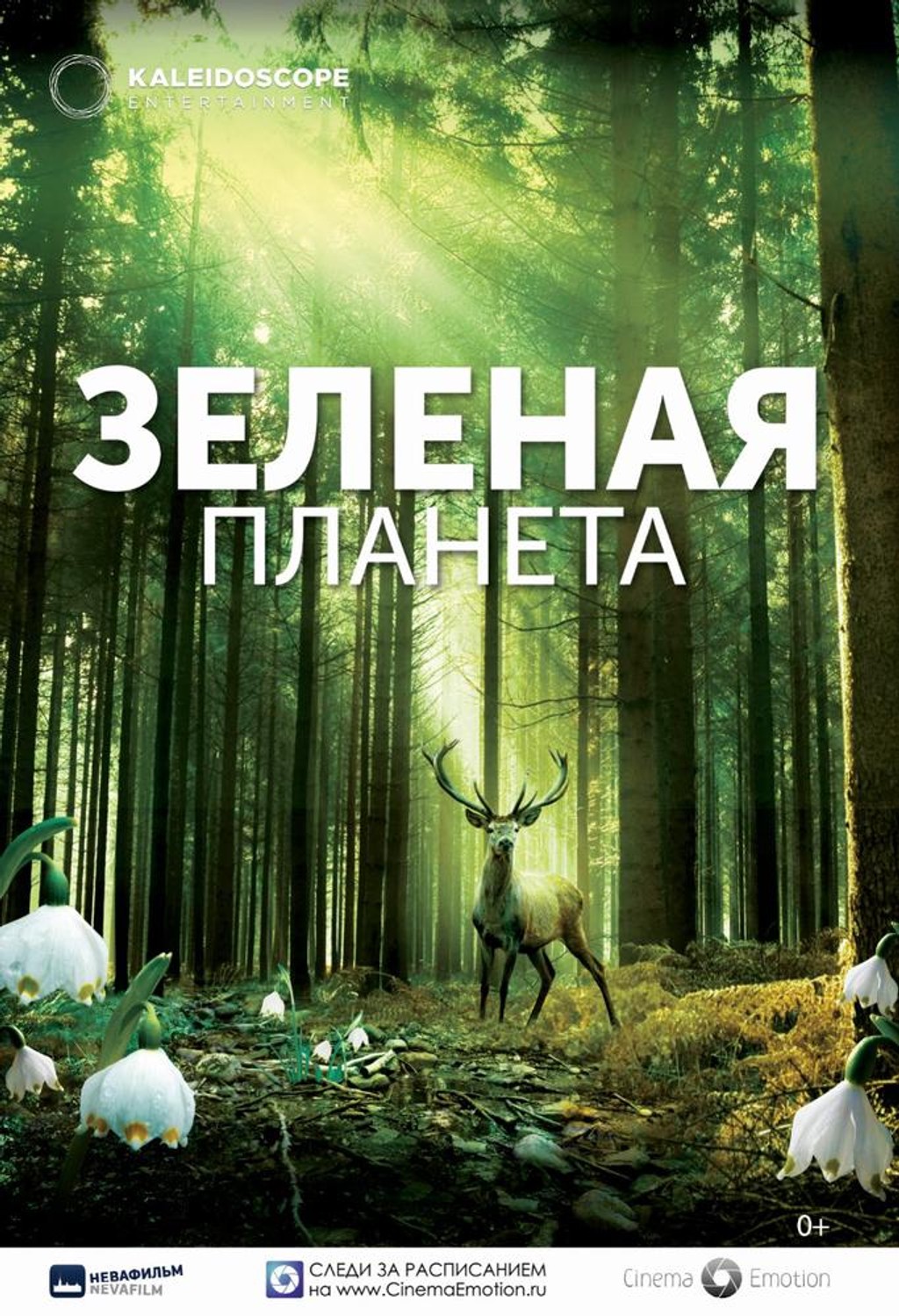 Зелёная планета